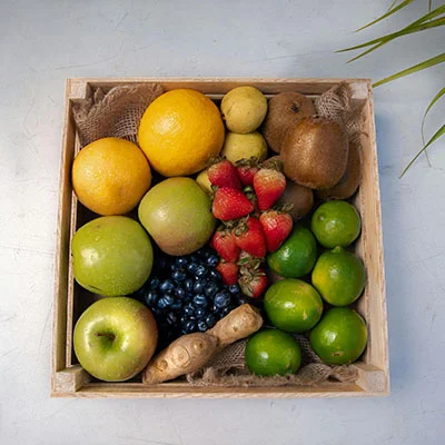 深度剖析Shadowrocket节点网站：从入门到精通的完整指南